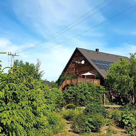Dziewanna Apartamento Brzeziniec Exterior foto