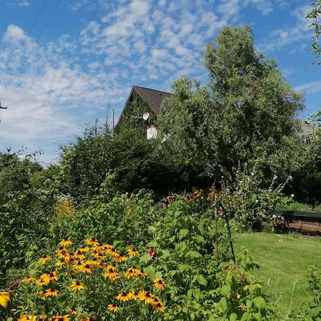 Dziewanna Apartamento Brzeziniec Exterior foto