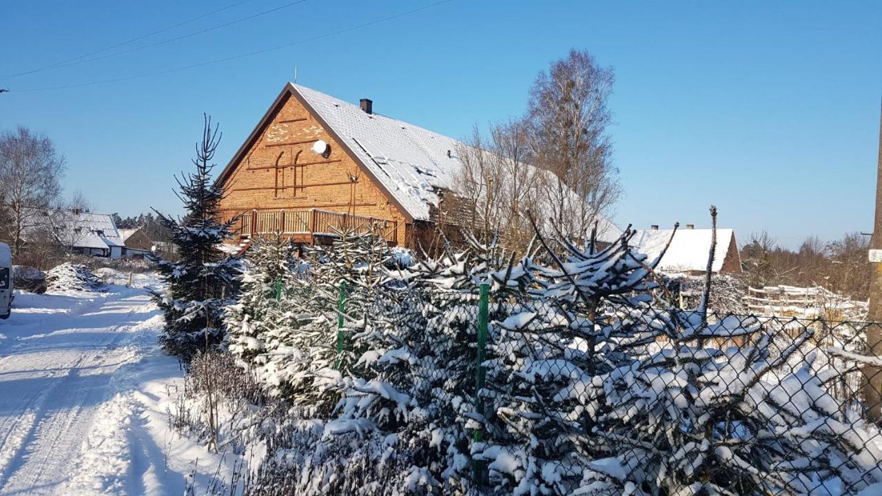 Dziewanna Apartamento Brzeziniec Exterior foto