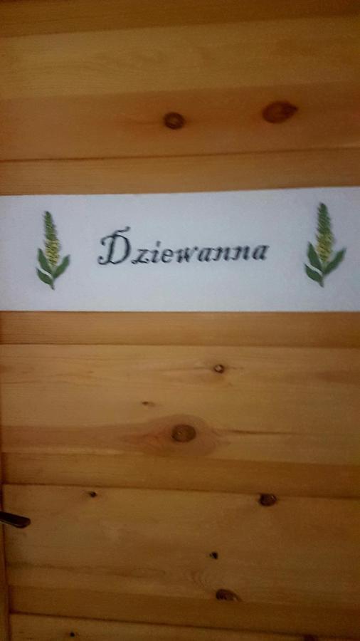 Dziewanna Apartamento Brzeziniec Exterior foto