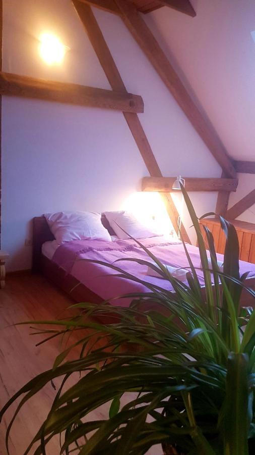 Dziewanna Apartamento Brzeziniec Exterior foto