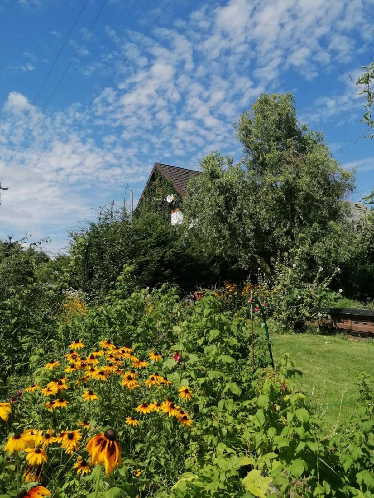 Dziewanna Apartamento Brzeziniec Exterior foto